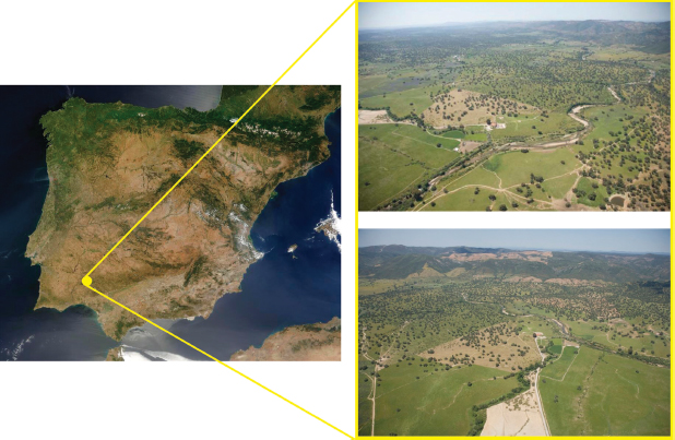 Figura 1. Localización de la ciudad romana de Arucci y vista aérea del sitio