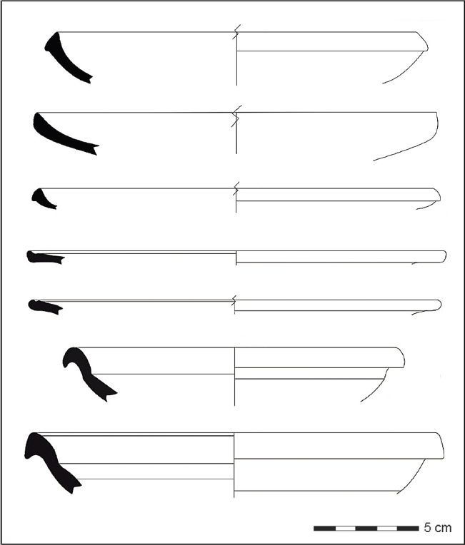 Figura 11. Repertorio cerámico ARSW constatado en los niveles tardoantiguos del peristilo.