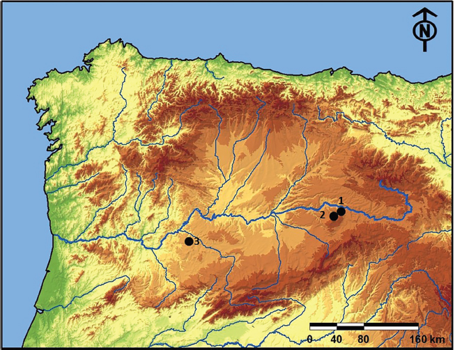 Figura 1. Localización de las necrópolis estudiadas: 1) El Horcajo-La Solana; 2) El Picacho; 3) Teso Santo.