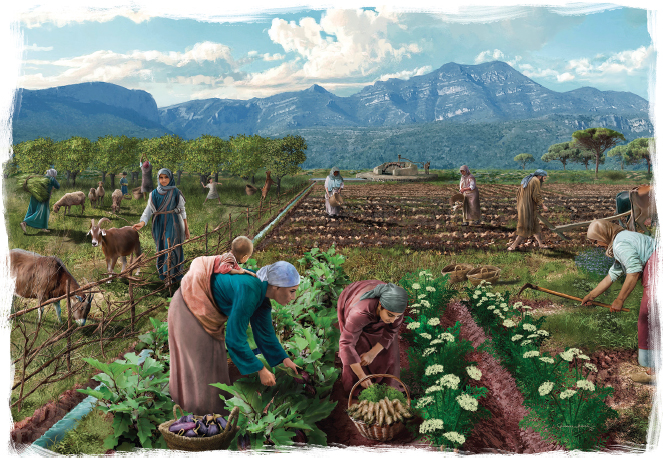 Figure 8. Bioanthropological evidence points to a relatively equal sexual division of labour, where the basic production unit would consist of all family members (Giuseppe Berardi, Joan Negre, Marcos García, Guillermo García-Contreras).