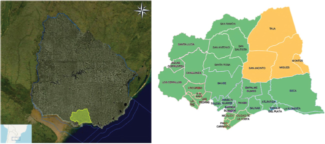 Figura 1. Microrregión 3. Departamento de Canelones. Municipios de Migues, Montes, San Jacinto y Tala