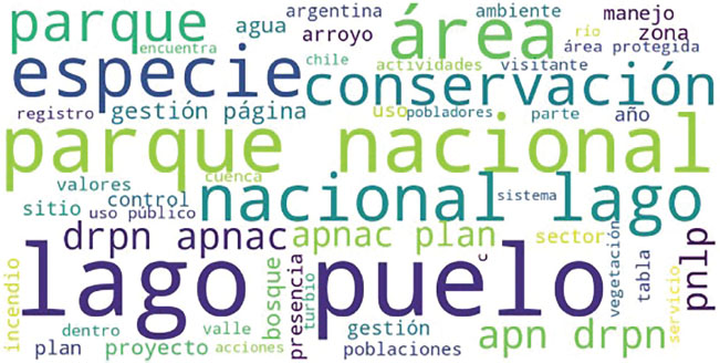 Figura 2. Nube de palabras en el plan de manejo