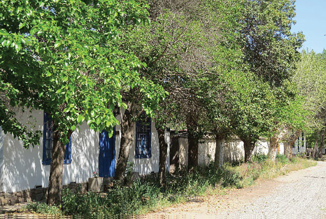 Figura 13. Ejemplo del paisaje cultural de vivienda de adobe y tejas, conviviendo con las tradicionales arboledas y acequias, que comúnmente se aprecian en las ciudades de San Felipe y Los Andes