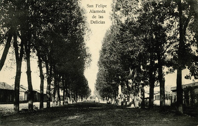 Figura 5. Postal de la Alameda de Las Delicias, en la ciudad de San Felipe, cuya planificación incluia el riego del sistema de acequia