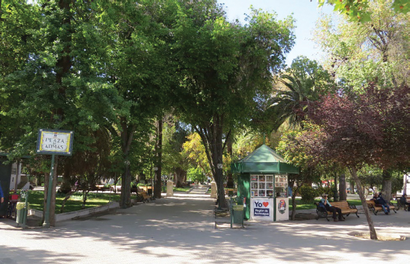 Figura 16. Foto actual de la Plaza de Armas de San Felipe, cuyo verdor de su arbolado y el escurrimiento de sus acequias, permiten a sus habitantes un lugar de descanso, esparcimiento y albergue, de las elevadas temperaturas imperantes en los meses estivales en la parte alta de la cuenca del Aconcagua
