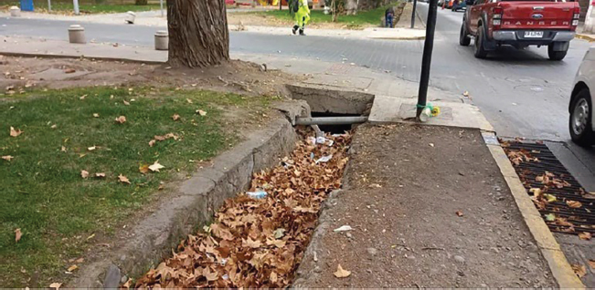 Figura 17. Acequia sanfelipeña rebozada de hojas de árbol, que afecta en el escurrimiento de su caudal, produciendo desborde de sus aguas en la época invernal, dañando tanto la propiedad pública como privada