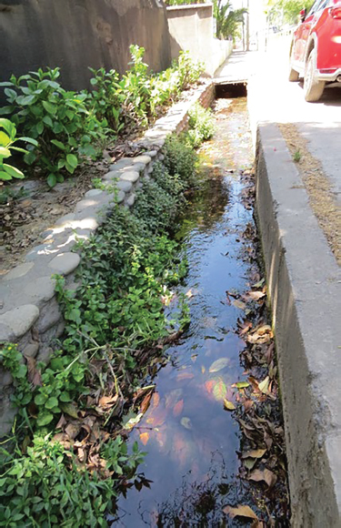 Figura 8. Acequia urbana actualmente en uso en la ciudad de Los Andes